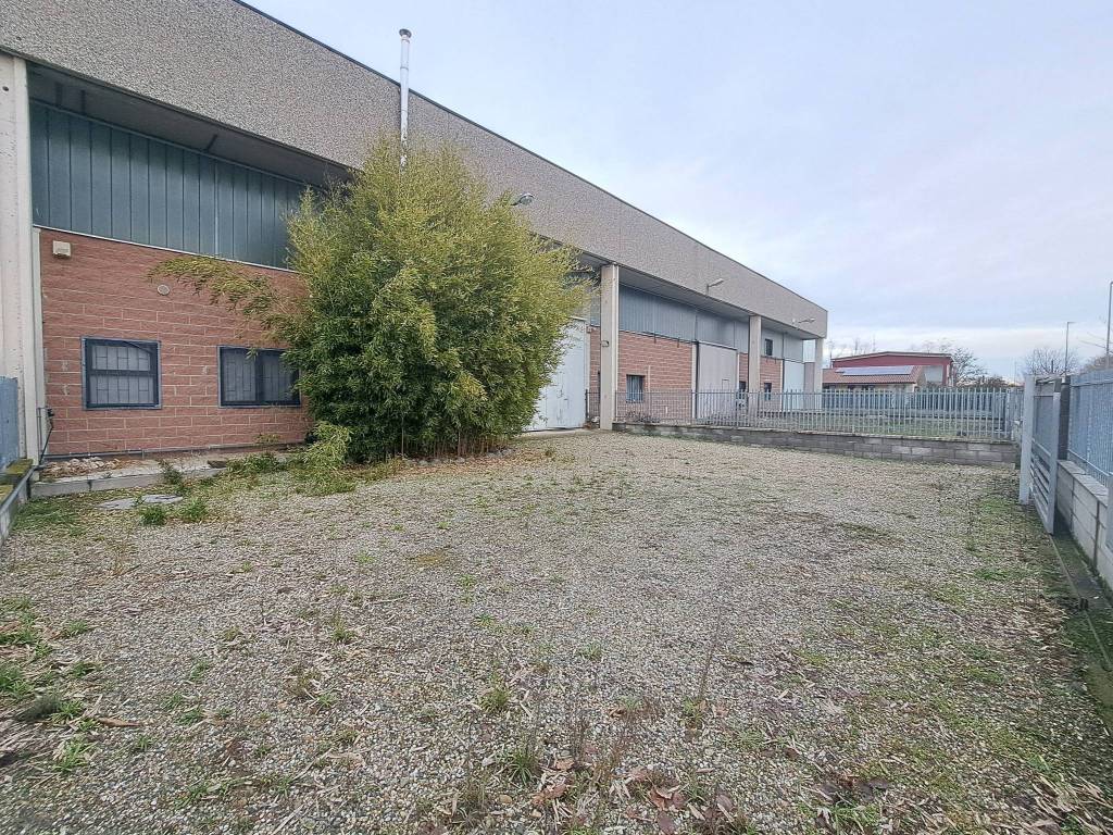 immagine annuncio 3 di 5