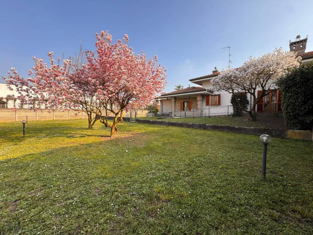 immagine annuncio 4 di 5