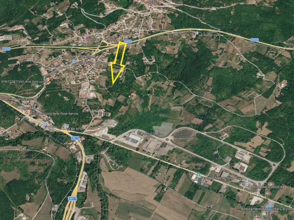 immagine annuncio 2 di 3