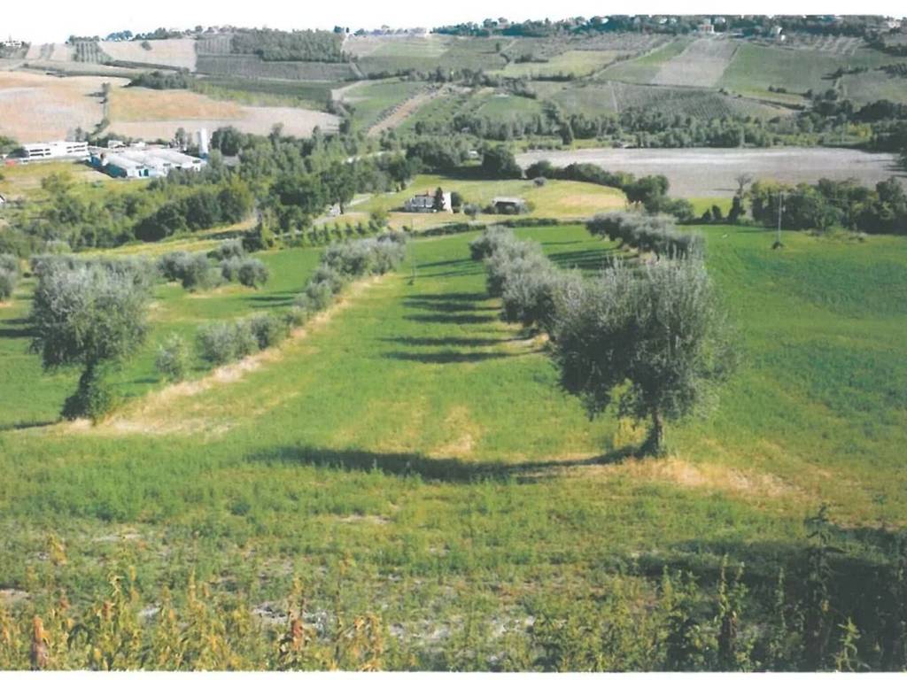 immagine annuncio 2 di 3