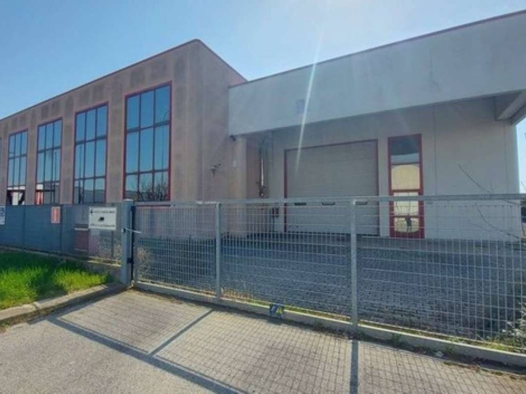 immagine annuncio 1 di 5