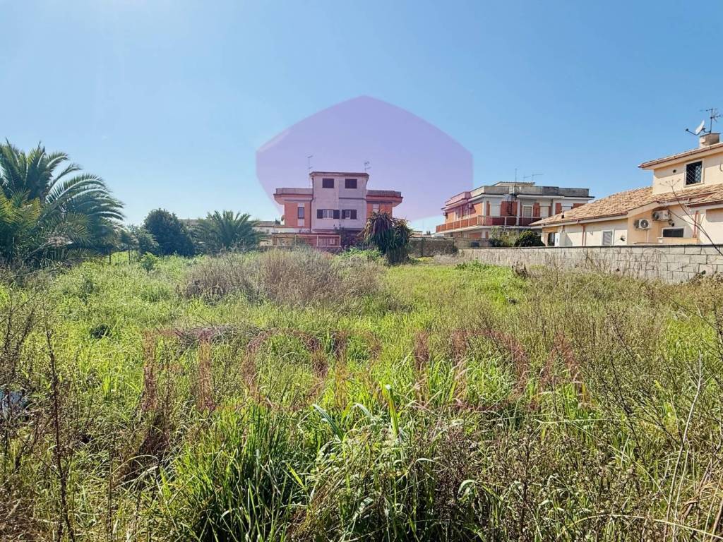 immagine annuncio 1 di 3