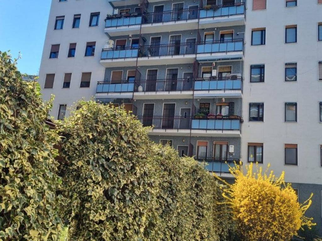 immagine annuncio 3 di 5