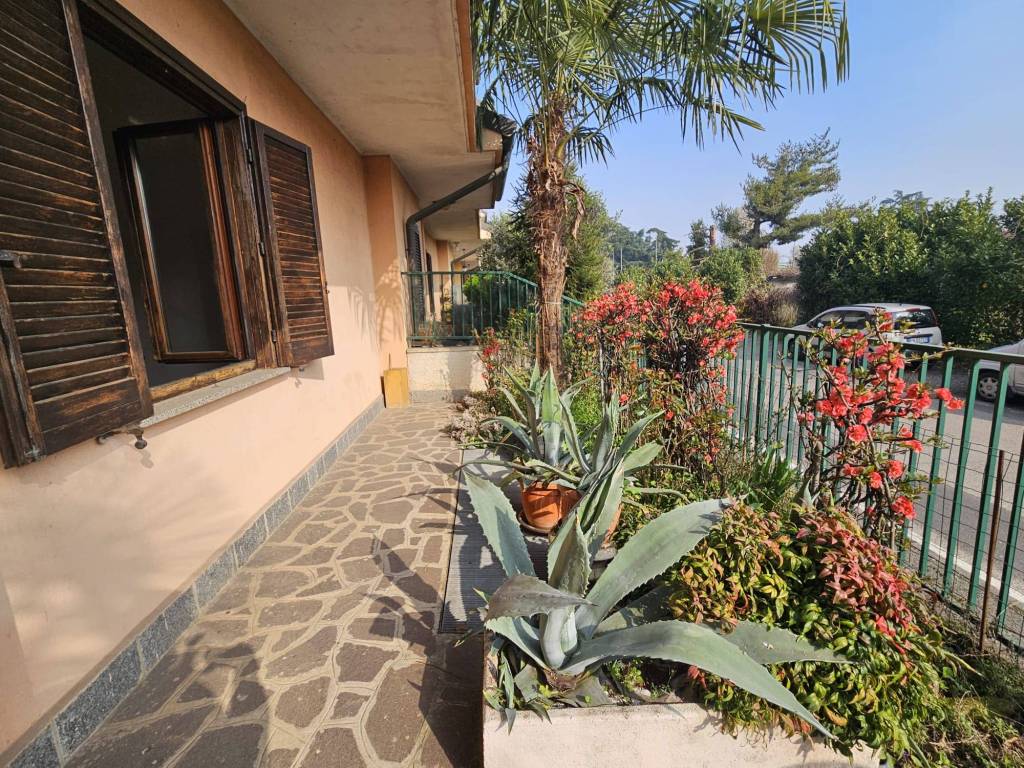 immagine annuncio 2 di 5