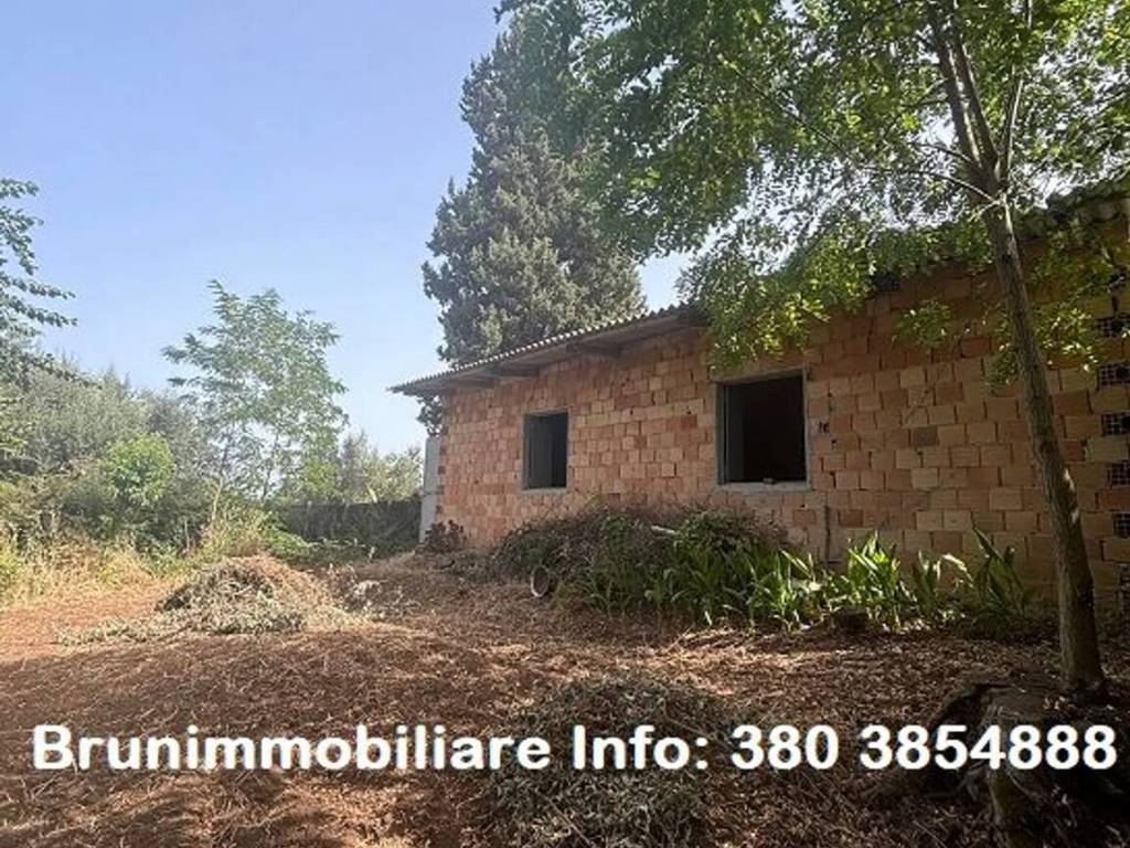 immagine annuncio 2 di 4