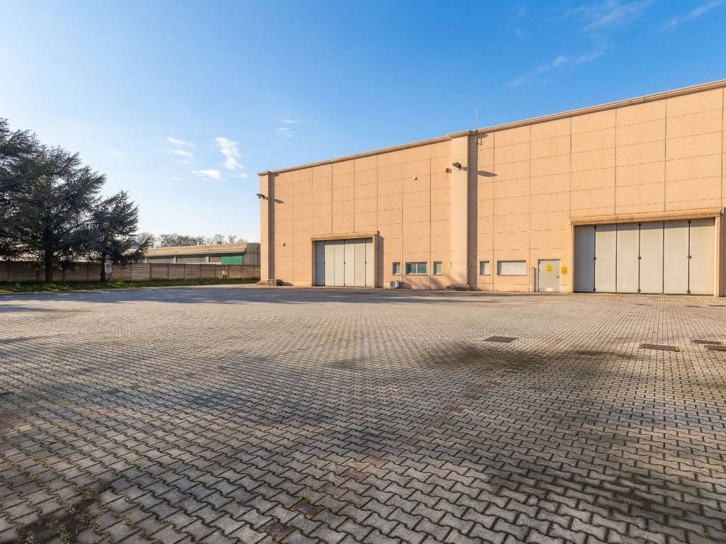 immagine annuncio 2 di 5