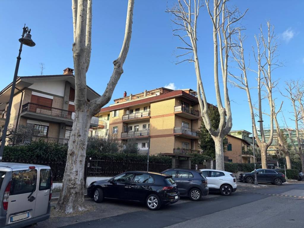 immagine annuncio 4 di 5