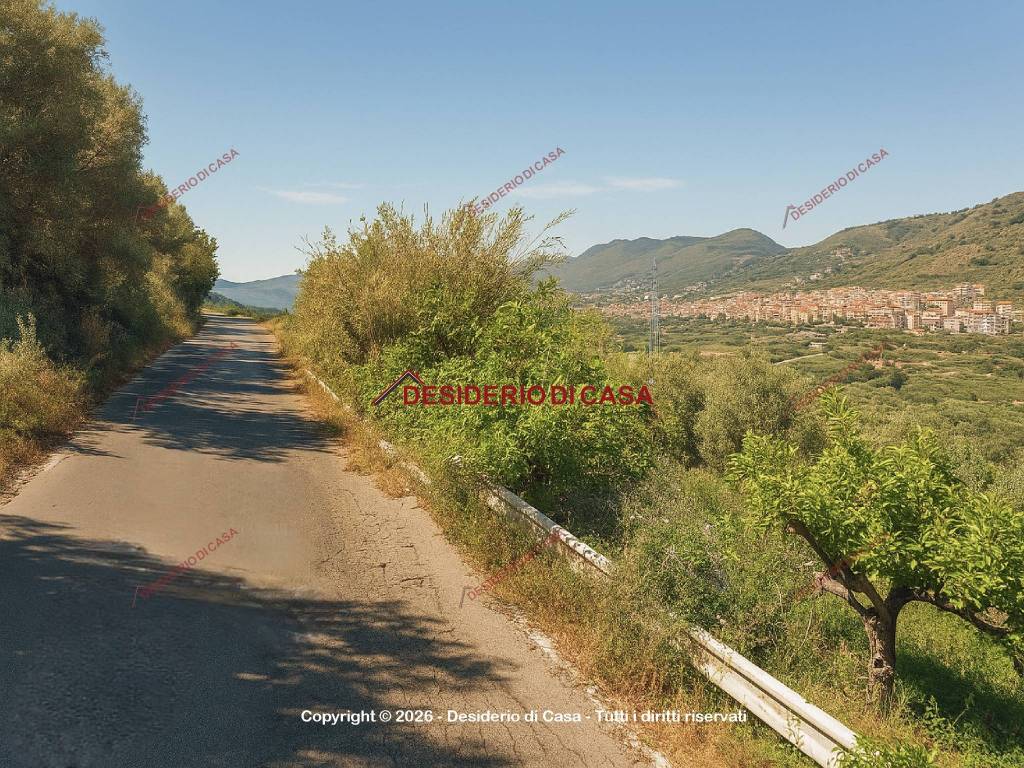 immagine annuncio 1 di 2