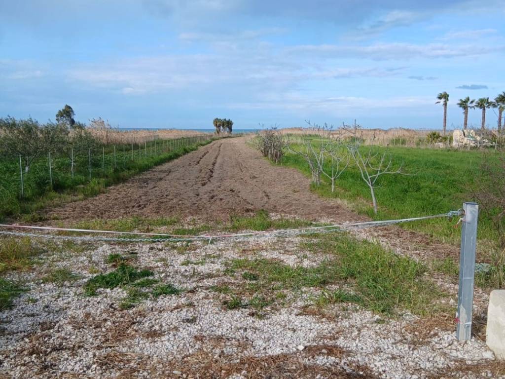 immagine annuncio 1 di 3