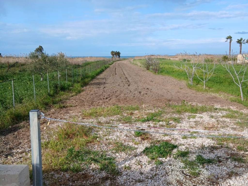 immagine annuncio 2 di 3