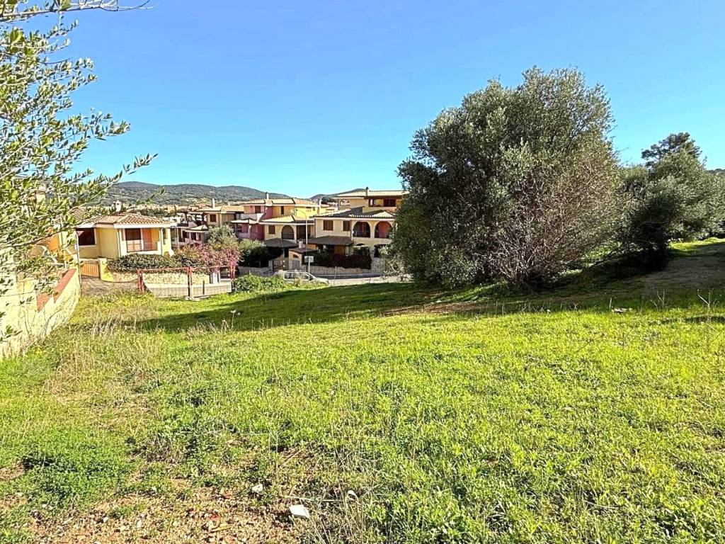 immagine annuncio 1 di 4