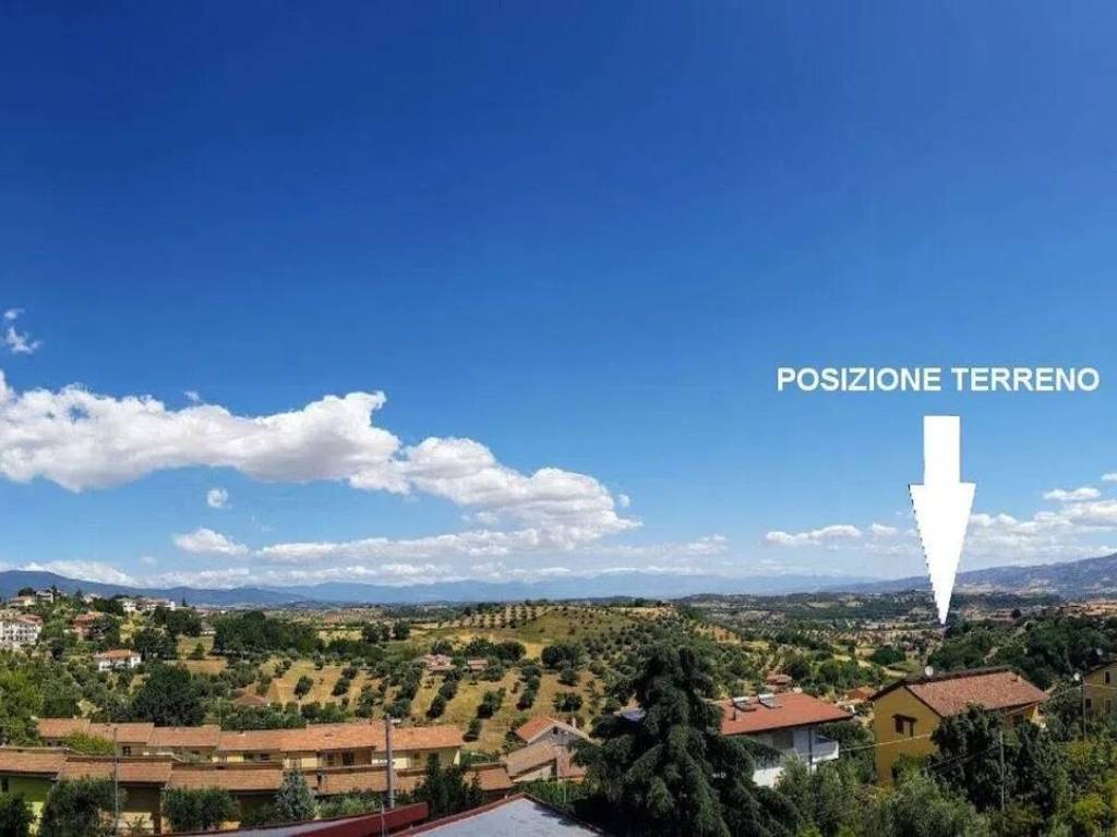 immagine annuncio 2 di 4