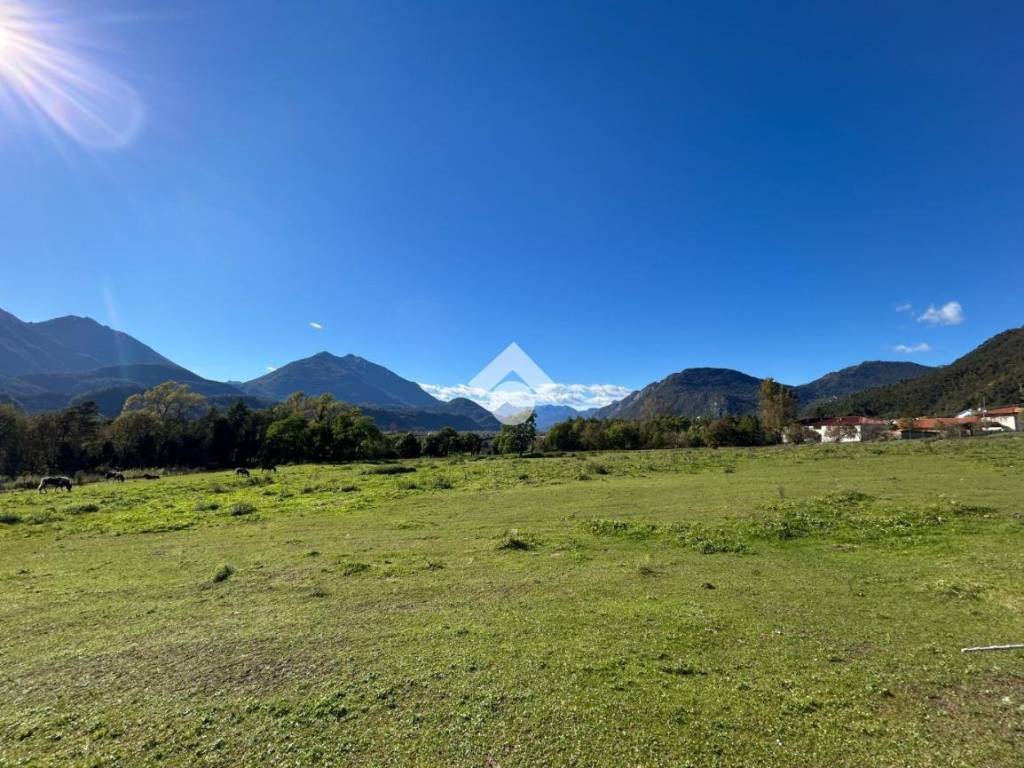 immagine annuncio 1 di 4