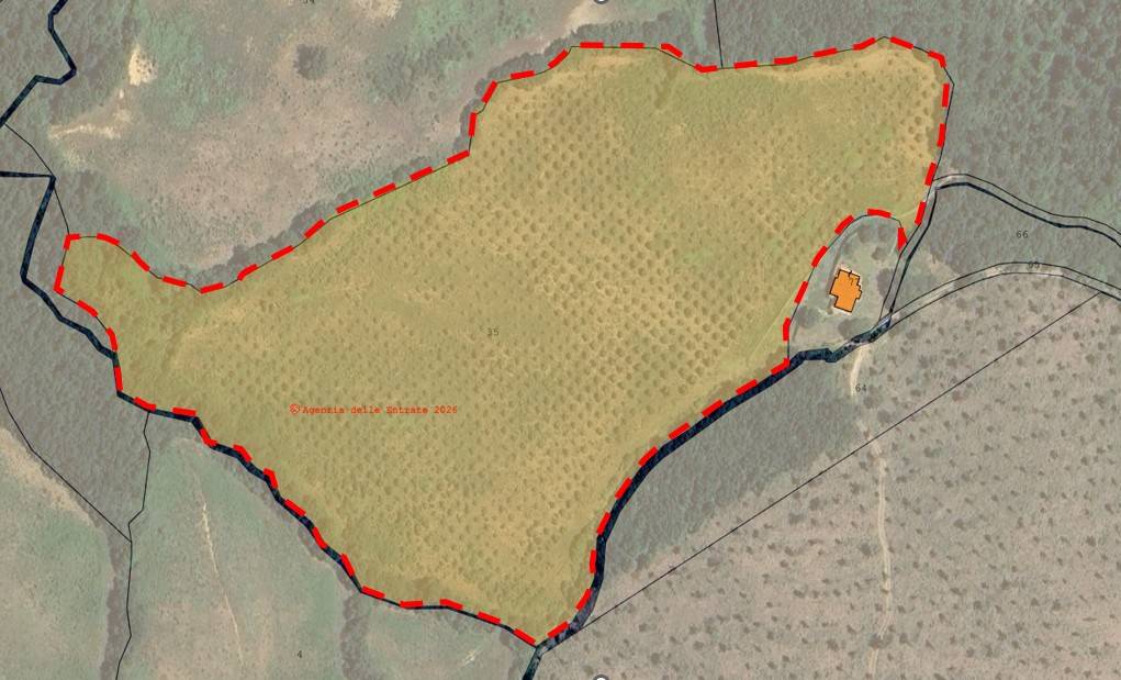 immagine annuncio 1 di 2