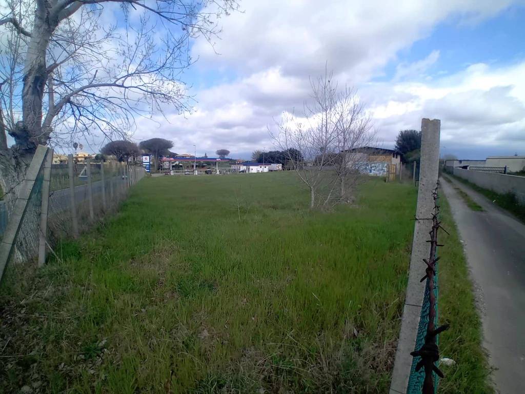 immagine annuncio 2 di 4