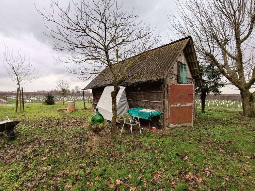 immagine annuncio 4 di 5