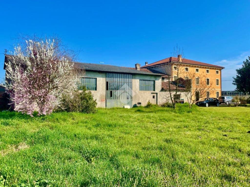 immagine annuncio 3 di 5