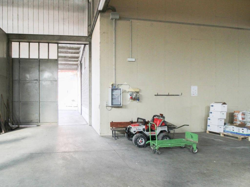 immagine annuncio 3 di 5