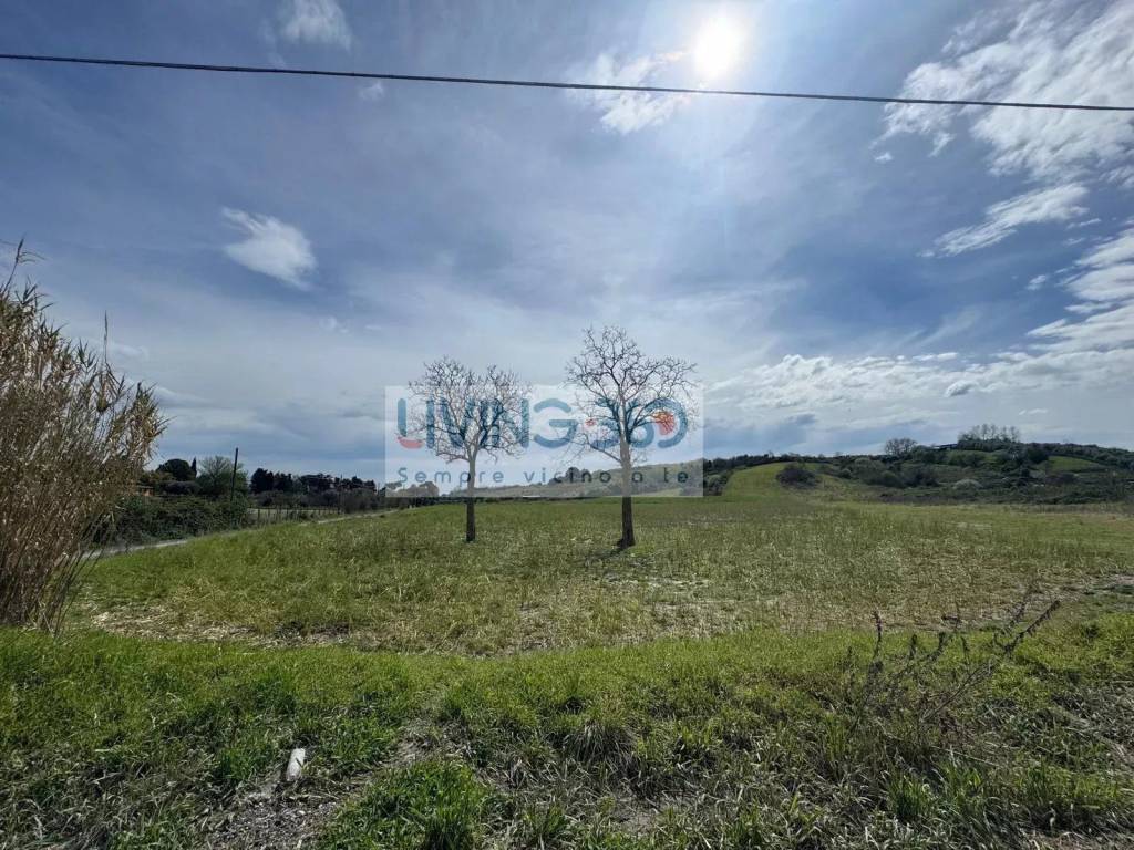 immagine annuncio 2 di 3