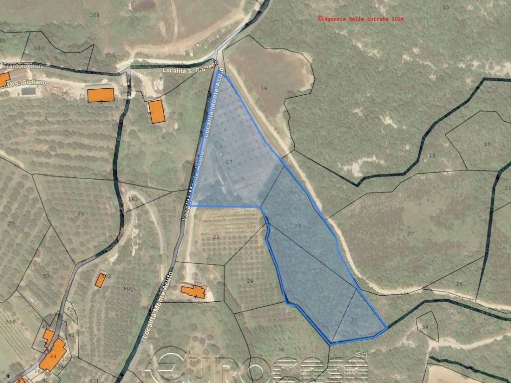 immagine annuncio 1 di 2