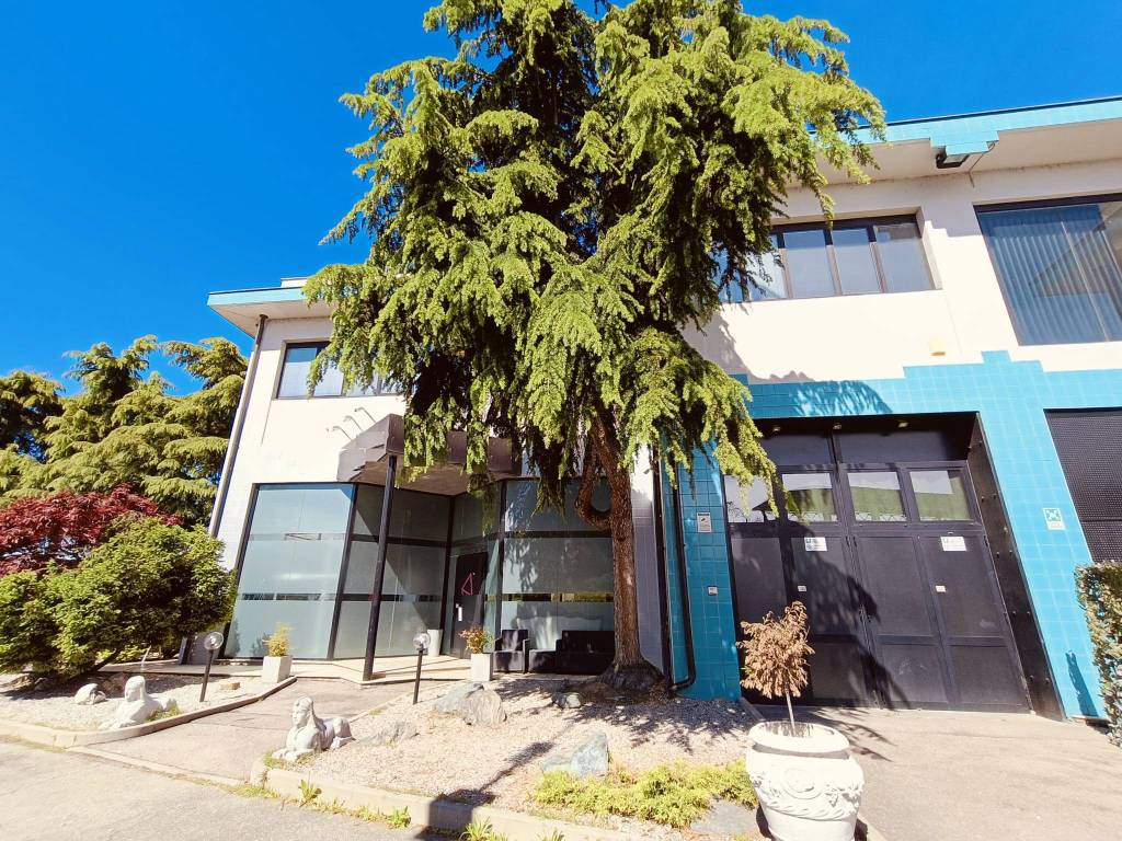 immagine annuncio 3 di 5