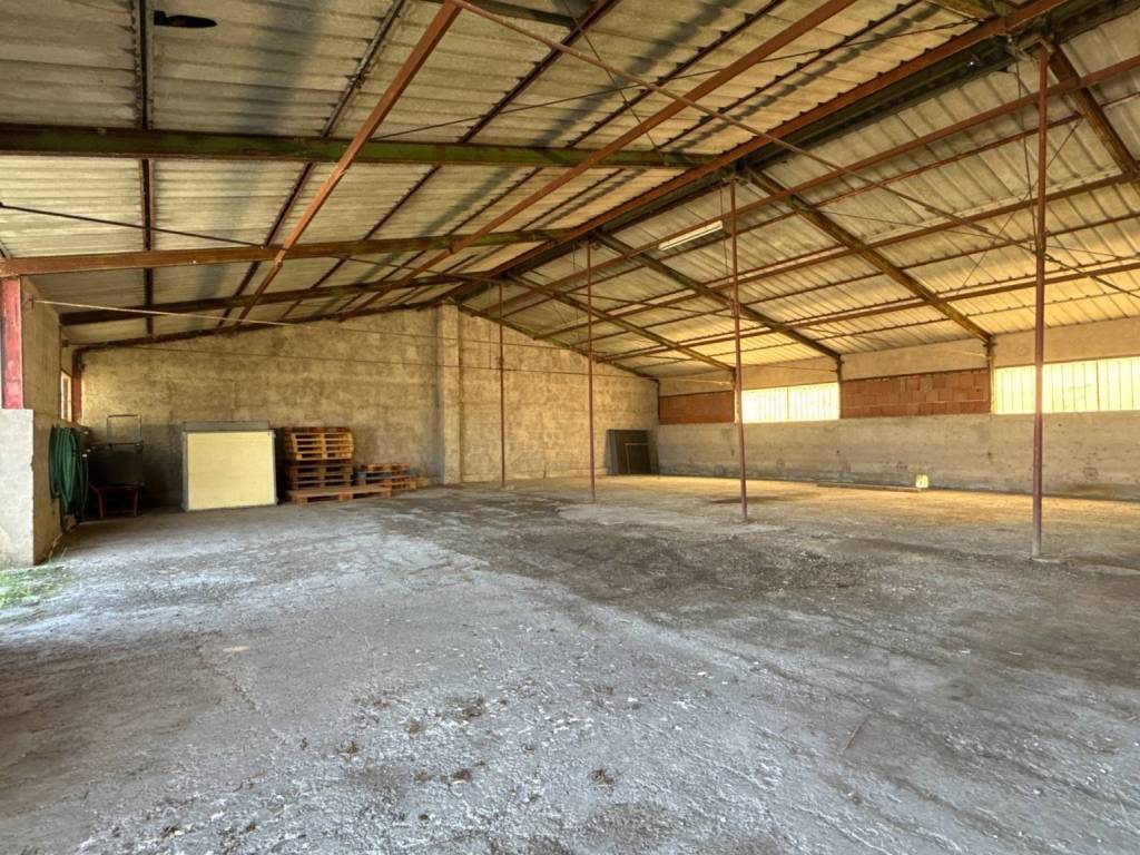 immagine annuncio 1 di 2