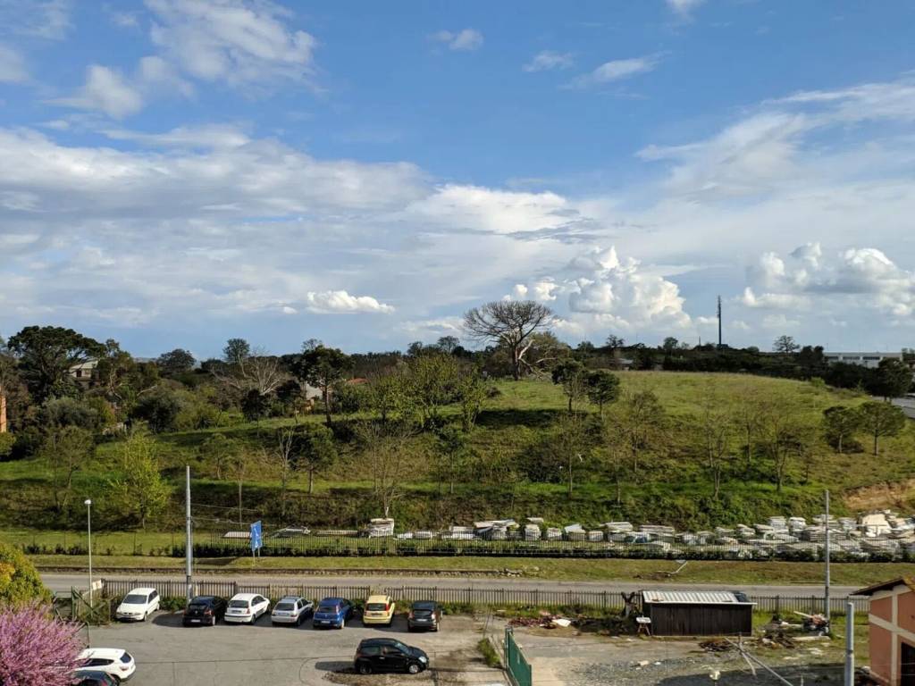 immagine annuncio 1 di 2