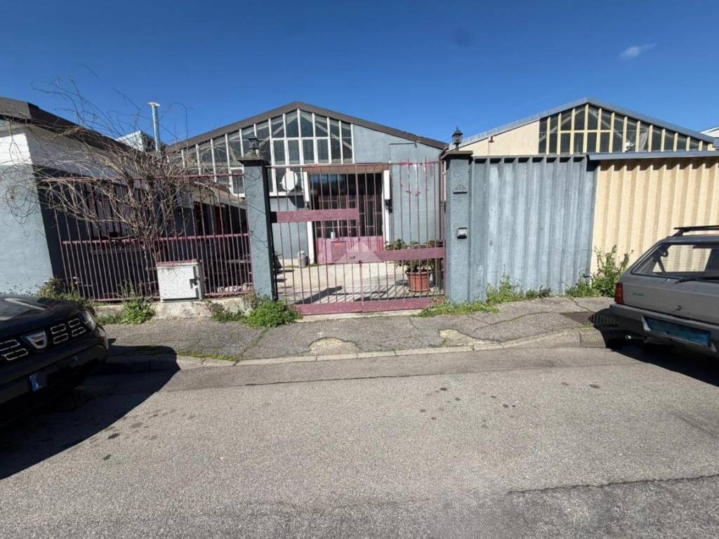 immagine annuncio 2 di 5