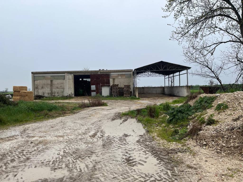 immagine annuncio 1 di 4