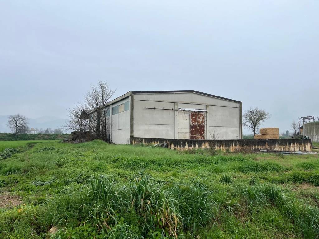 immagine annuncio 2 di 4