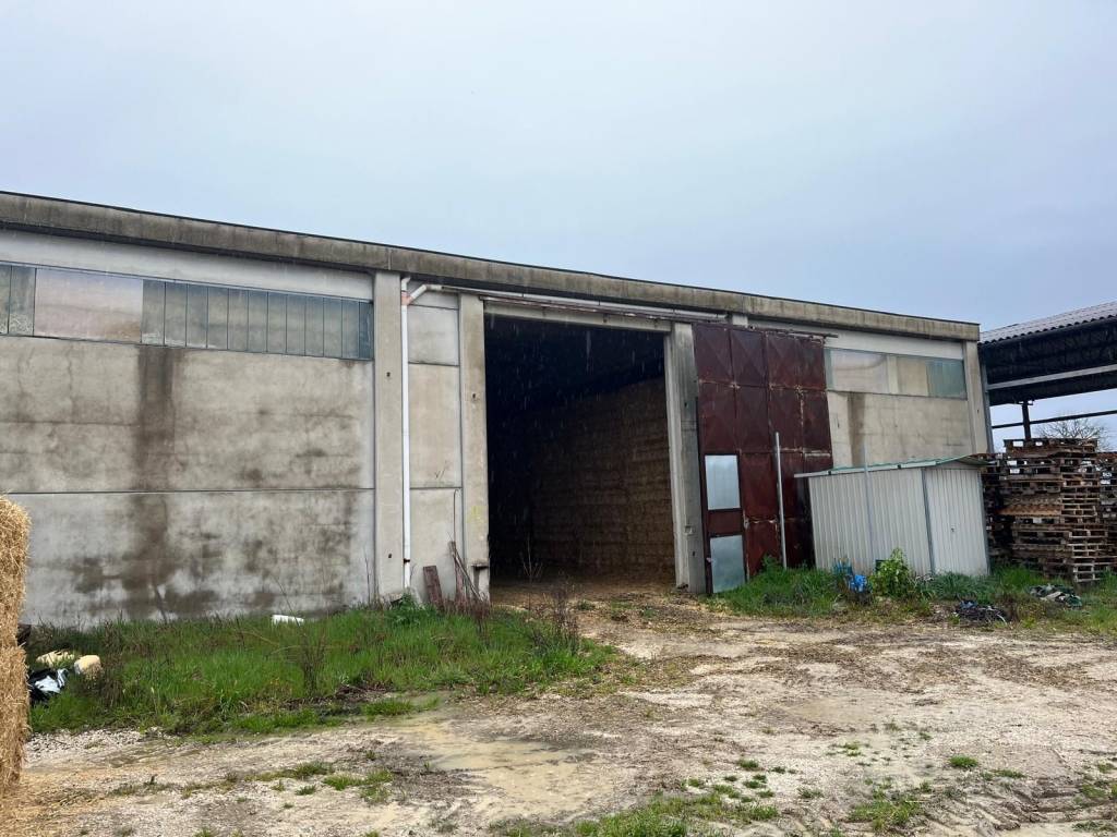 immagine annuncio 3 di 4