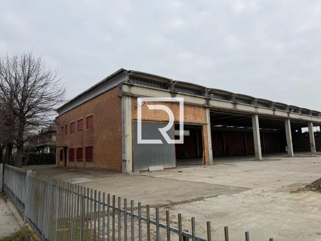 immagine annuncio 2 di 4