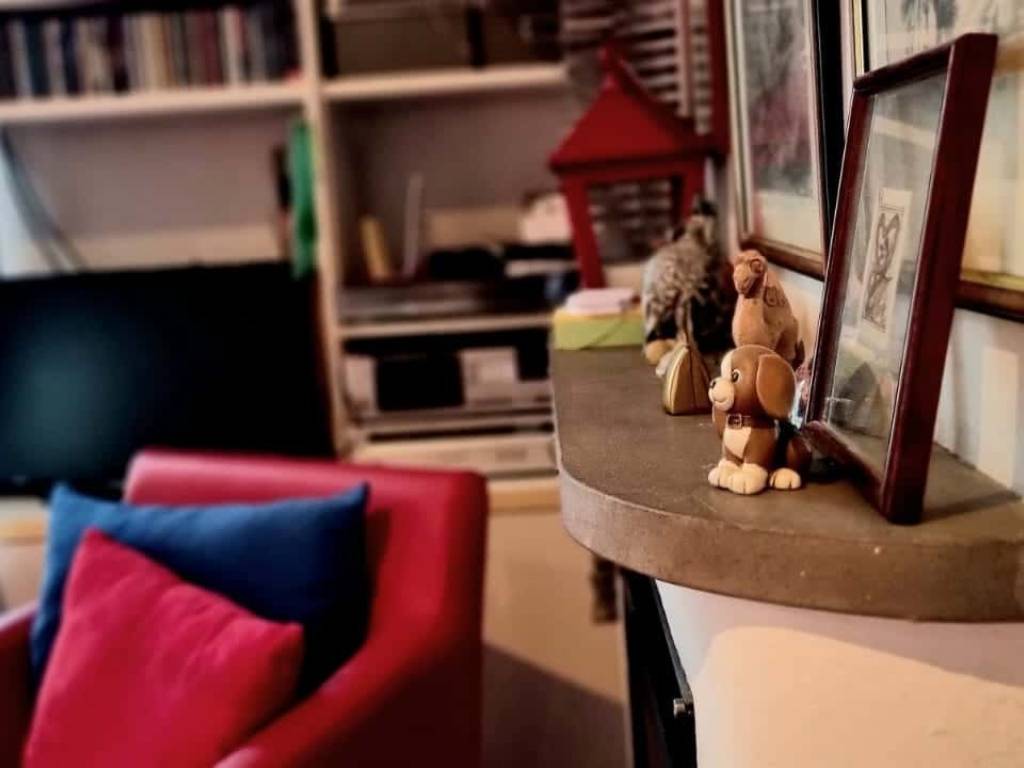 immagine annuncio 2 di 5