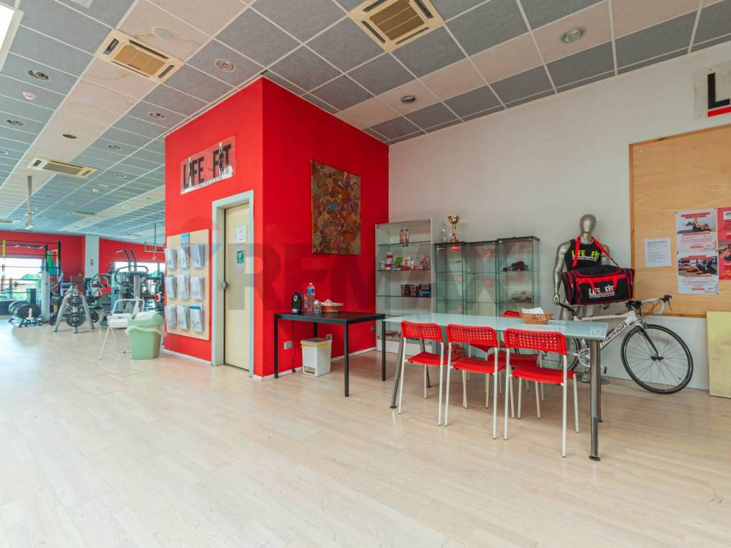 immagine annuncio 4 di 5