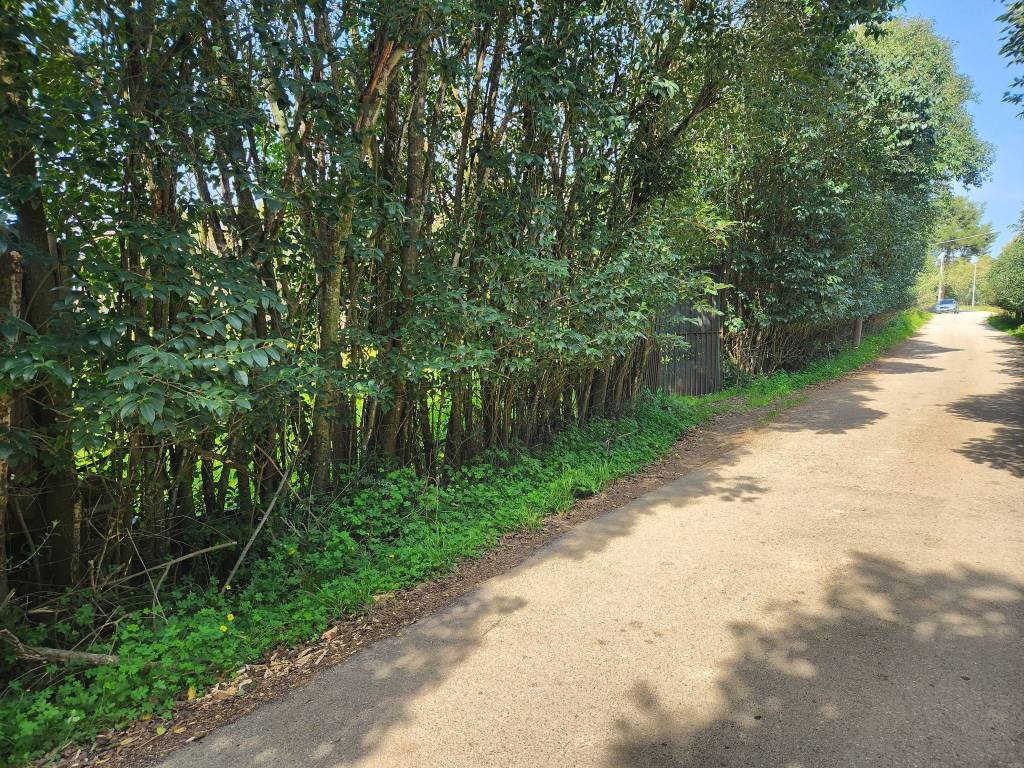 immagine annuncio 2 di 4