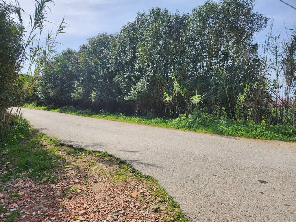 immagine annuncio 3 di 4