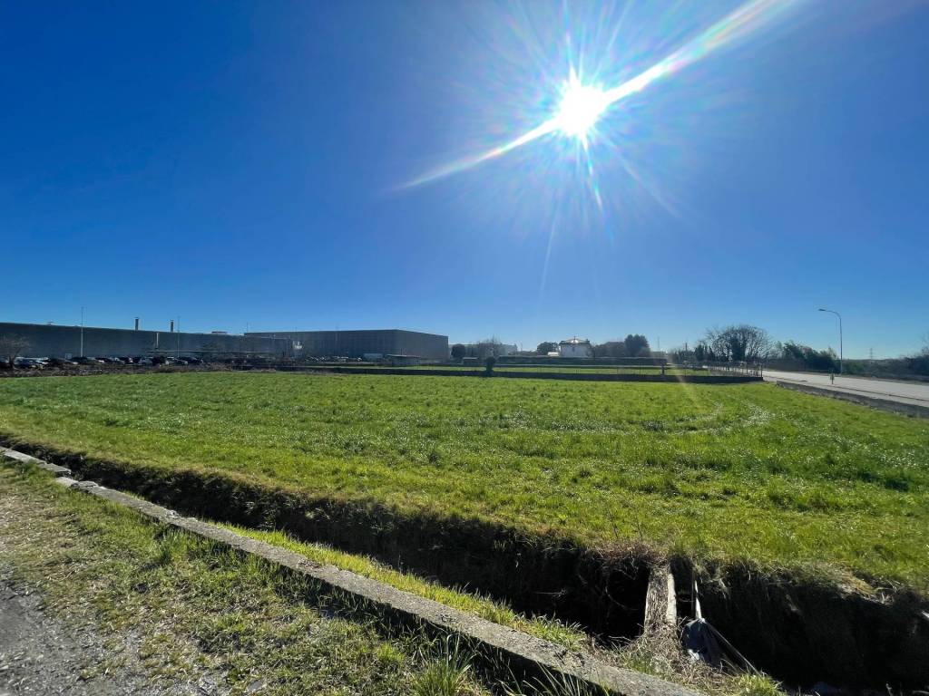 immagine annuncio 1 di 4