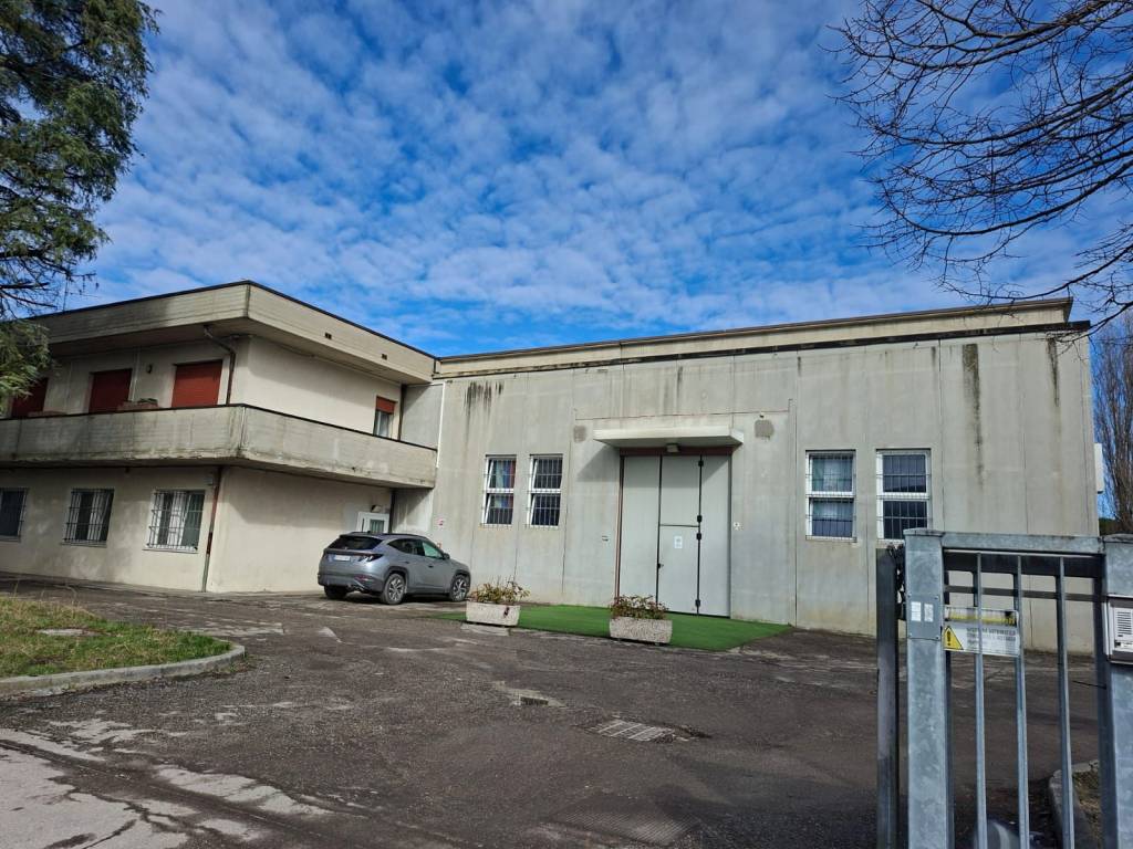 immagine annuncio 2 di 5