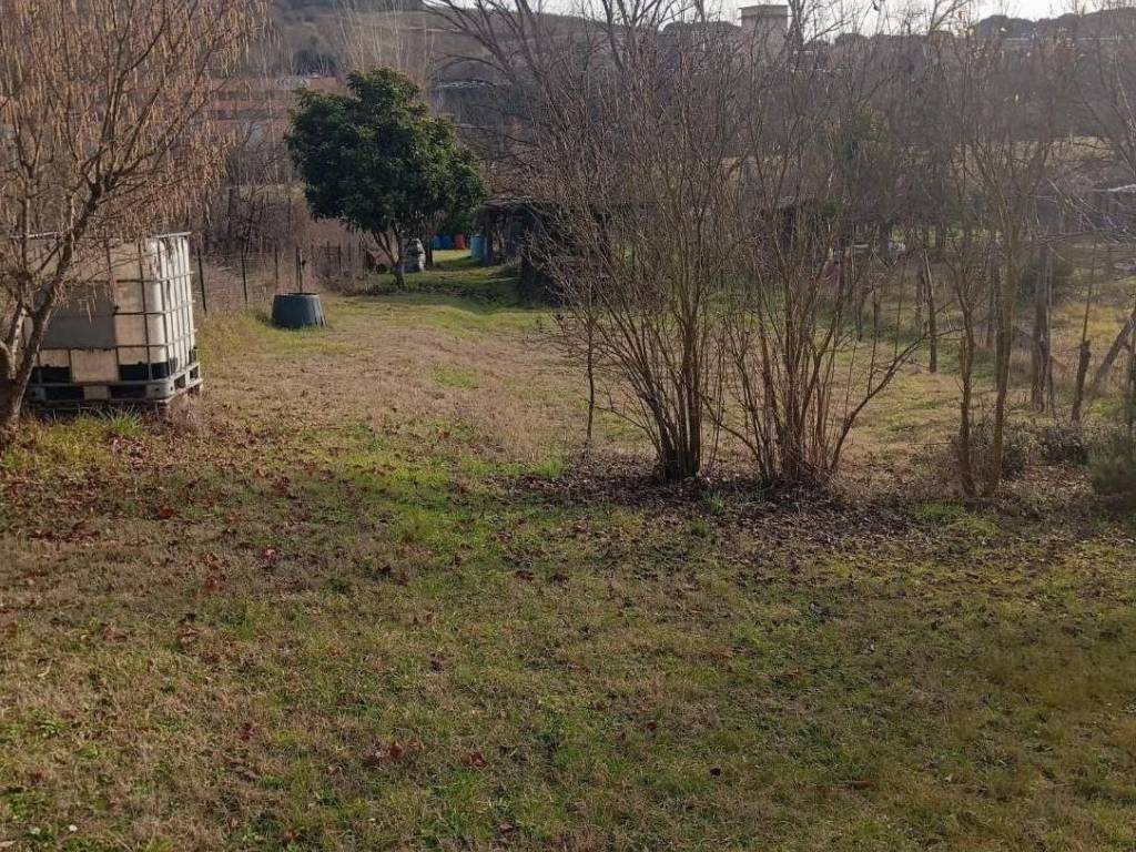 immagine annuncio 3 di 4