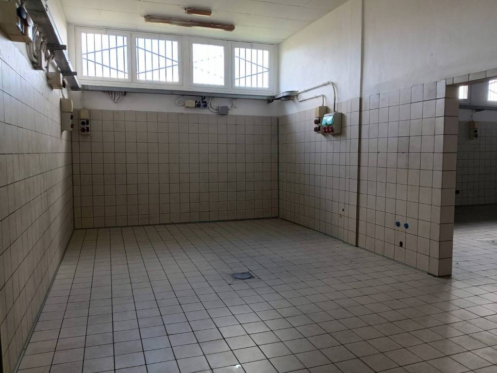 ufficio in affitto a San Giuliano Terme in zona Colignola