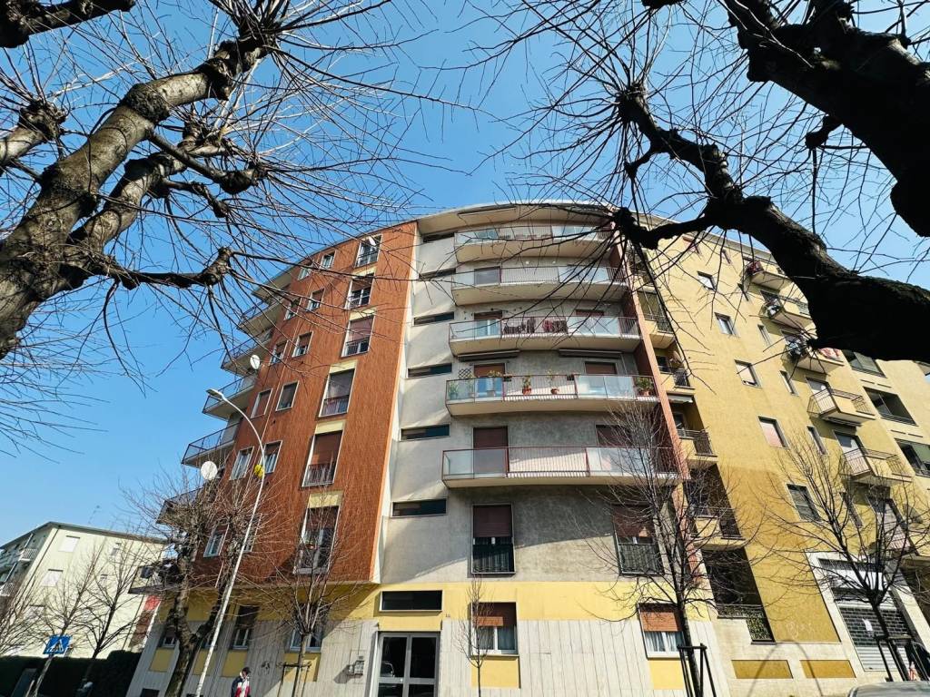 immagine annuncio 3 di 4