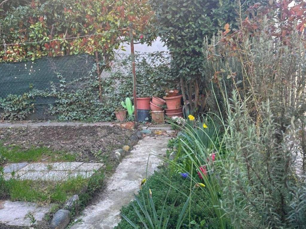 immagine annuncio 3 di 4