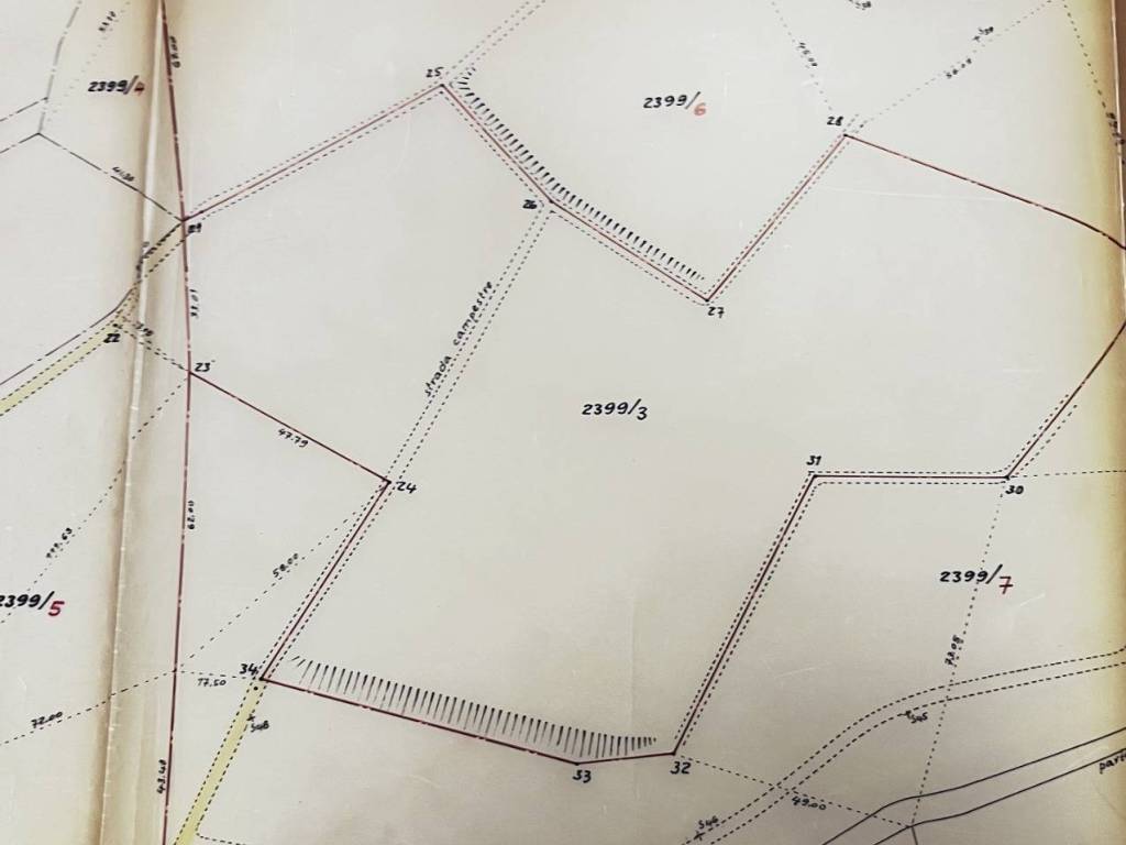 immagine annuncio 3 di 4