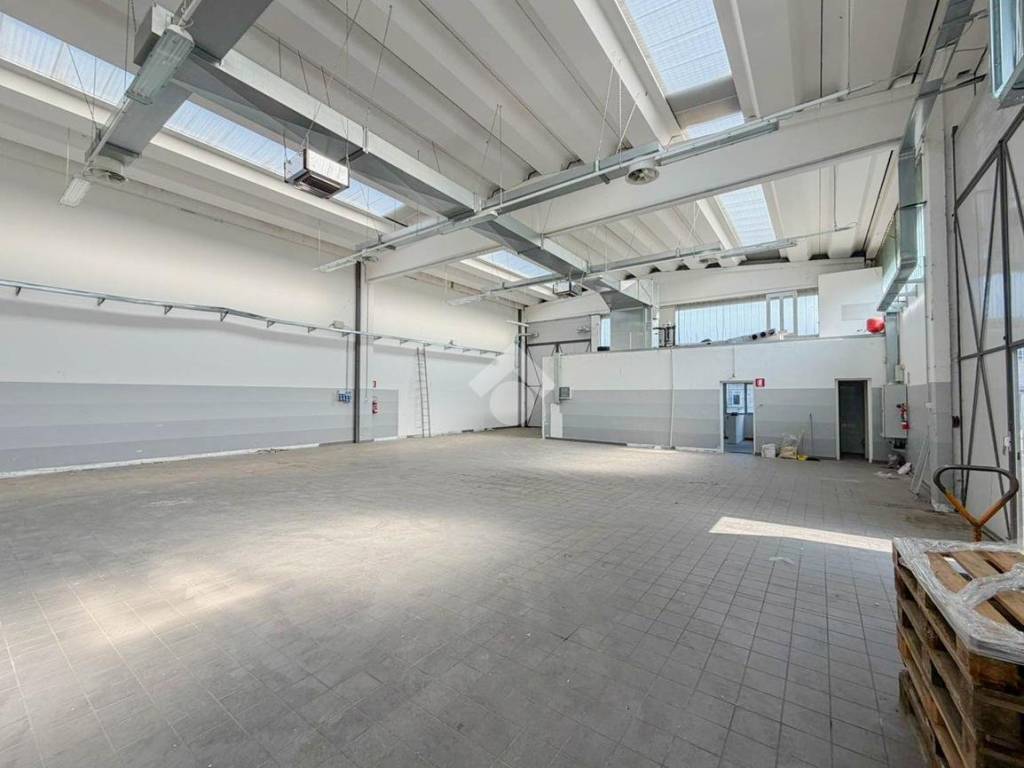 immagine annuncio 4 di 5