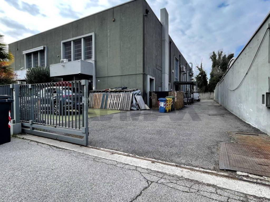 immagine annuncio 2 di 5