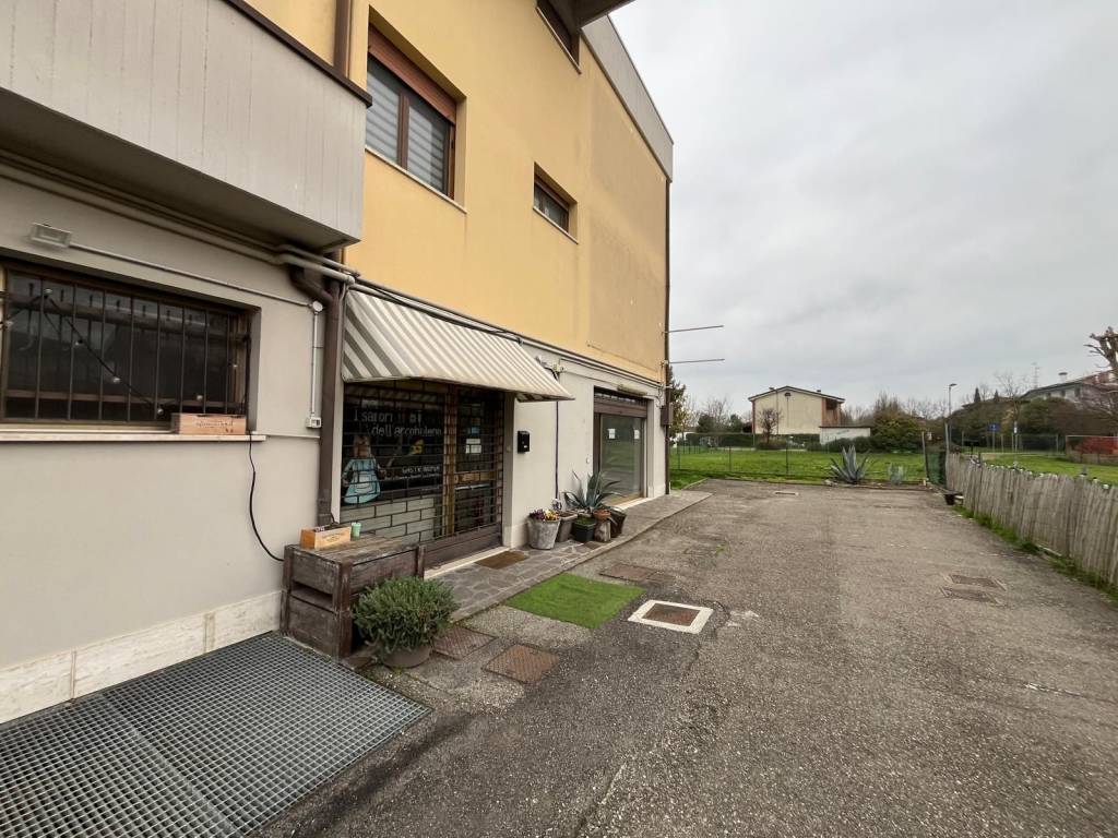 immagine annuncio 1 di 2