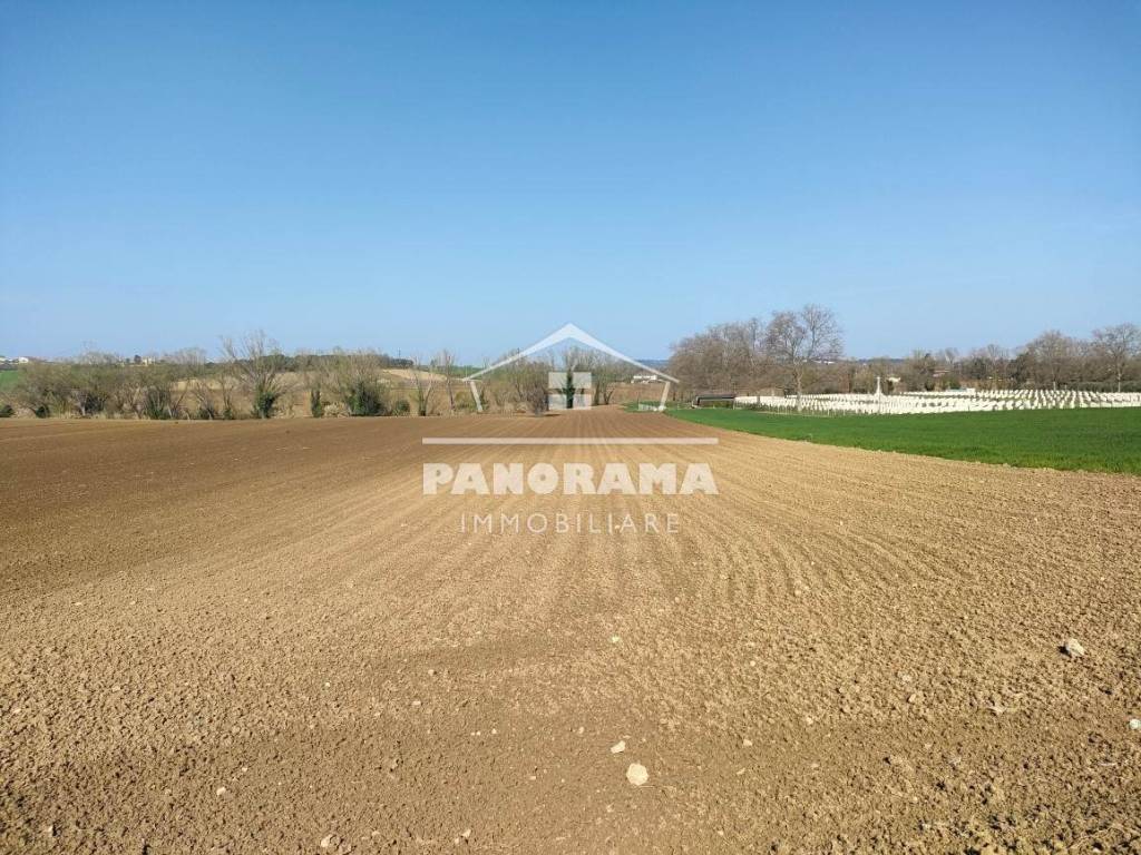 immagine annuncio 1 di 2