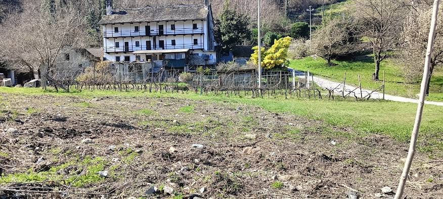 immagine annuncio 1 di 4