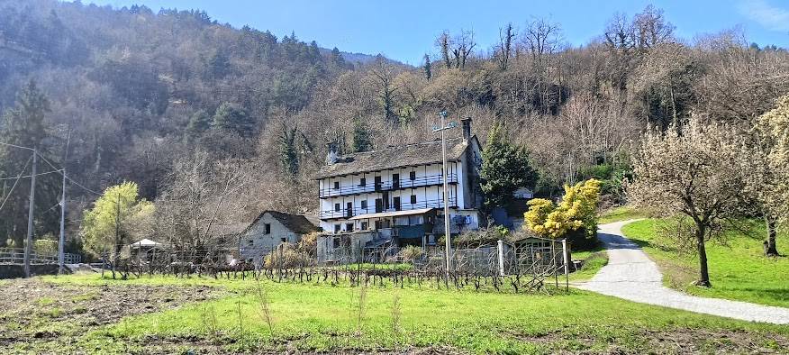 immagine annuncio 2 di 4