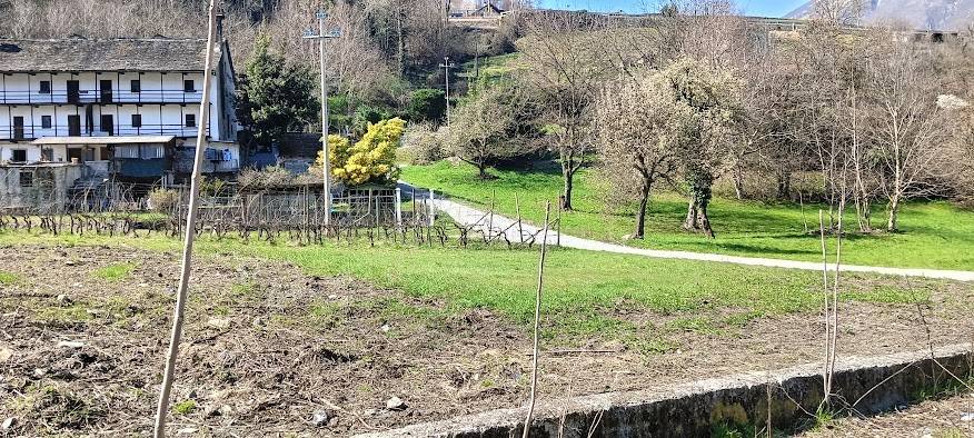 immagine annuncio 3 di 4